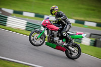 cadwell-no-limits-trackday;cadwell-park;cadwell-park-photographs;cadwell-trackday-photographs;enduro-digital-images;event-digital-images;eventdigitalimages;no-limits-trackdays;peter-wileman-photography;racing-digital-images;trackday-digital-images;trackday-photos